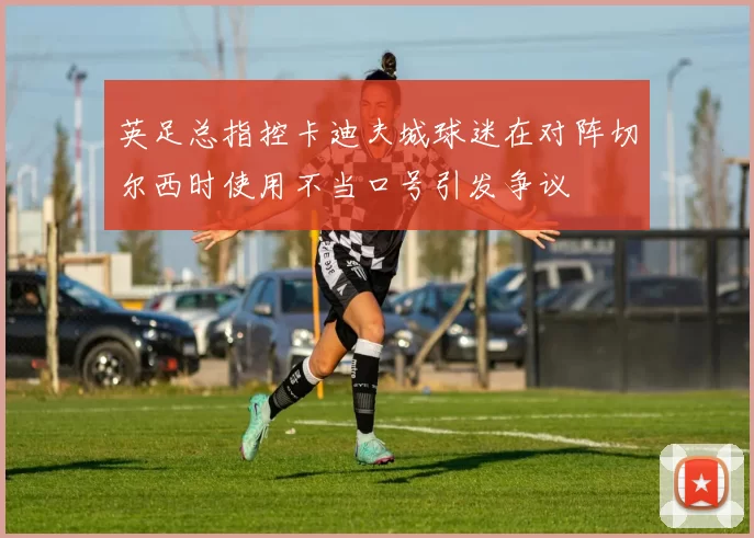 英足总指控卡迪夫城球迷在对阵切尔西时使用不当口号引发争议